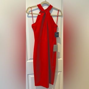Red Just Taylor Dress size 2